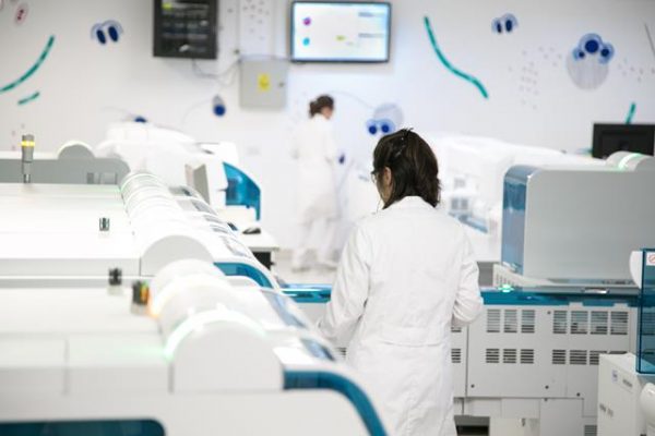 ¿Cómo se asocia la trombofilia con enfermedades cerebrovasculares?