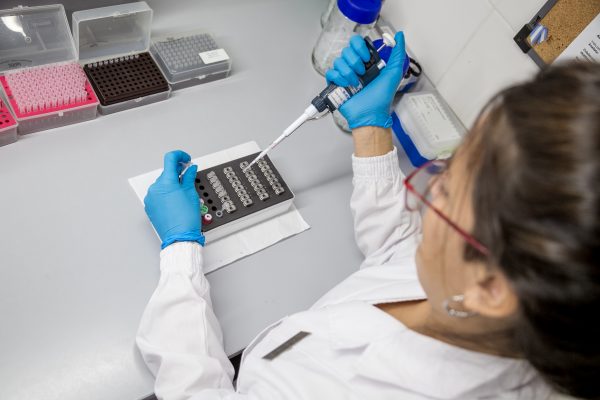 Incorporación en Cibic Laboratorios de la plataforma cobas® 5800 System y de la prueba cobas®MPX para el testeo de ácidos nucleicos en bancos de sangre