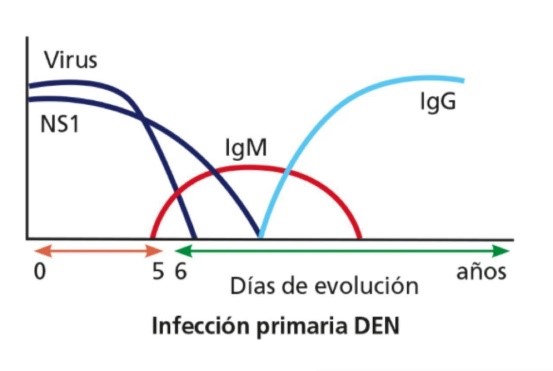 Test rápido Dengue - Cibic Laboratorios